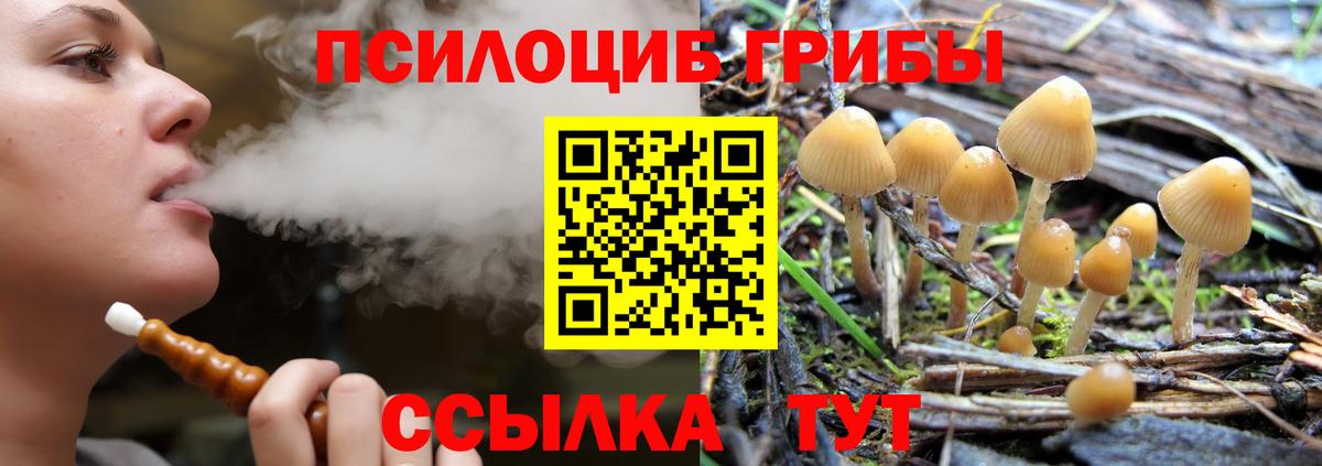 Псилоцибиновые грибы прущие грибы  Вход с VPN  Артёмовский 